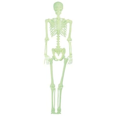 Paianjen din schelet glow in the dark, 30cm