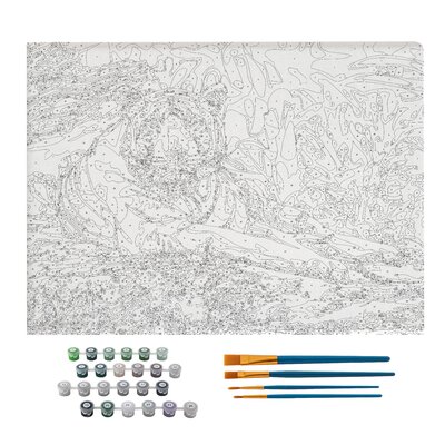 Pictura pe numere TIGRU ALB, 40x50cm, 24 culori, 4 pensule